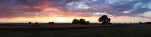 20160711_2156_IMG_1272-Panorama_LR3000-2